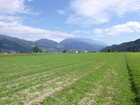 Landwirtschaft in Lienz Bild 03
