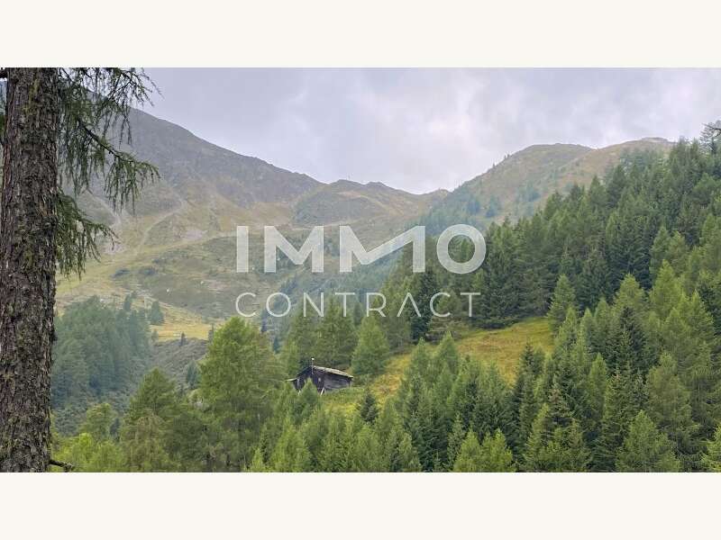 Landwirtschaft in Kals am Großglockner