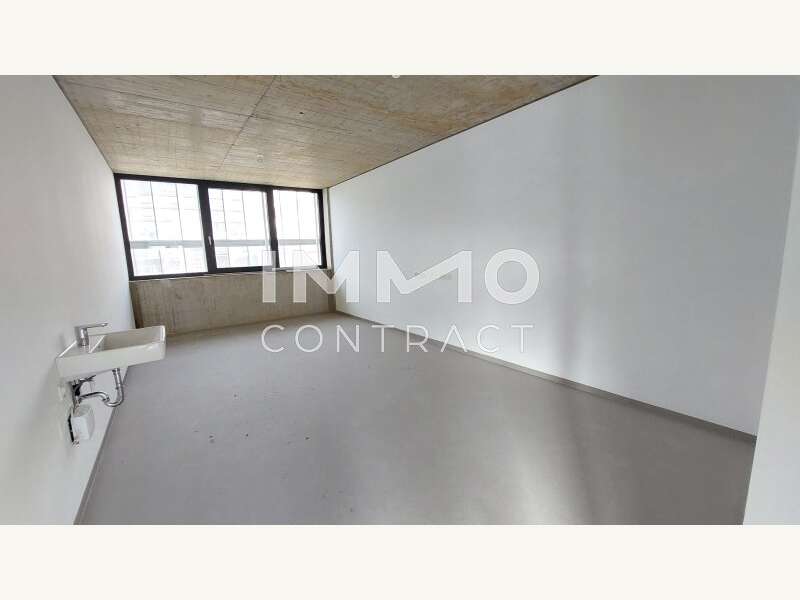 Praxisfläche in 1230 Wien 