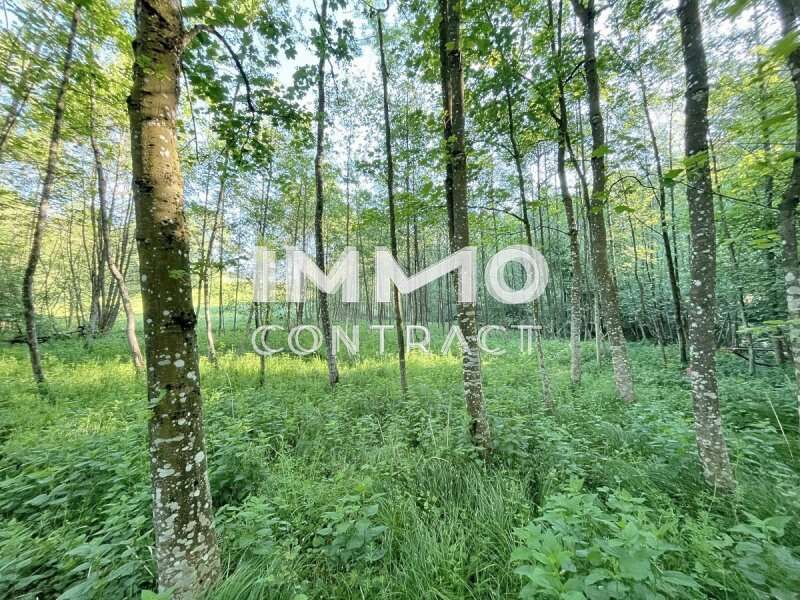 Landwirtschaftsgrund in Ardagger Stift