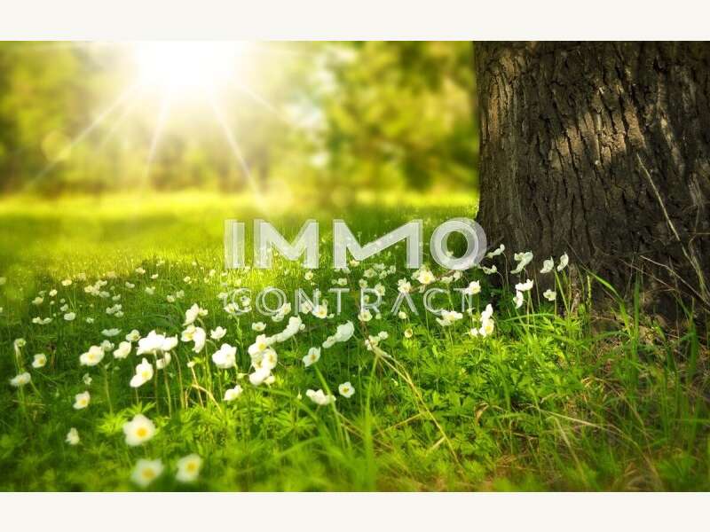 Grundstück in Markt Neuhodis