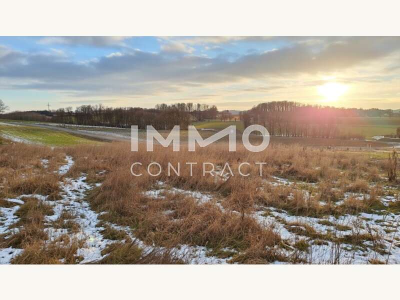 Baugrundstück in Wieselburg