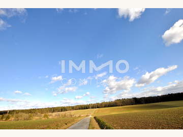 Landwirtschaftsgrund in Lindegg Bild 02