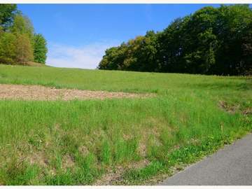 Baugrundstück in Edelstauden