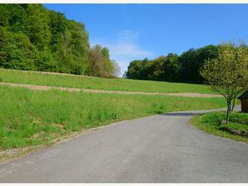 Baugrundstück in Edelstauden Bild 02