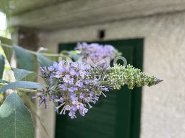 Baugrundstück in Krems