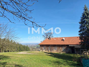 Landhaus in Seitenstetten / Seitenstetten Dorf