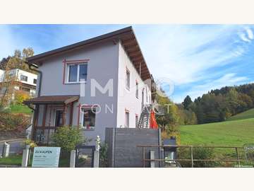 Einfamilienhaus in Steinakirchen am Forst
