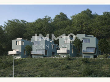 Doppelhaushälfte in Höflein an der Donau