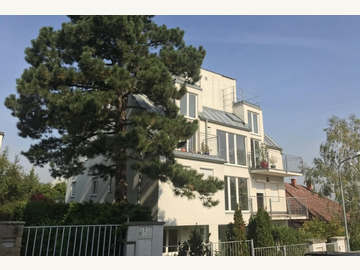 Wohnung in Wien, Hietzing Bild 07