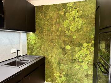 Wohnung in Wien Bild 06