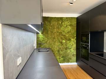 Wohnung in Wien Bild 08