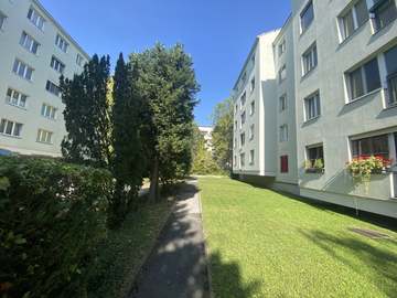 Wohnung in Wien Bild 02