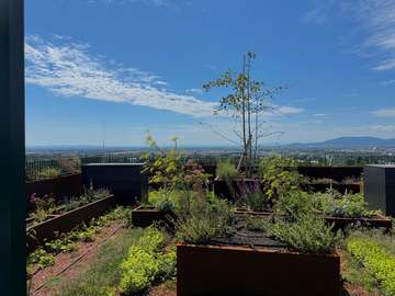 Wohnung in Wien, Favoriten Bild 21