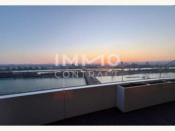 Wohnung in Wien Bild 10