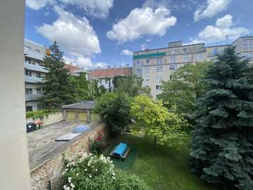 Wohnung in Wien Bild 12