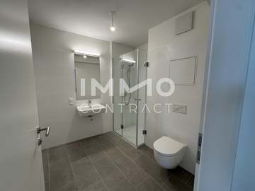 Dachgeschosswohnung in Wien