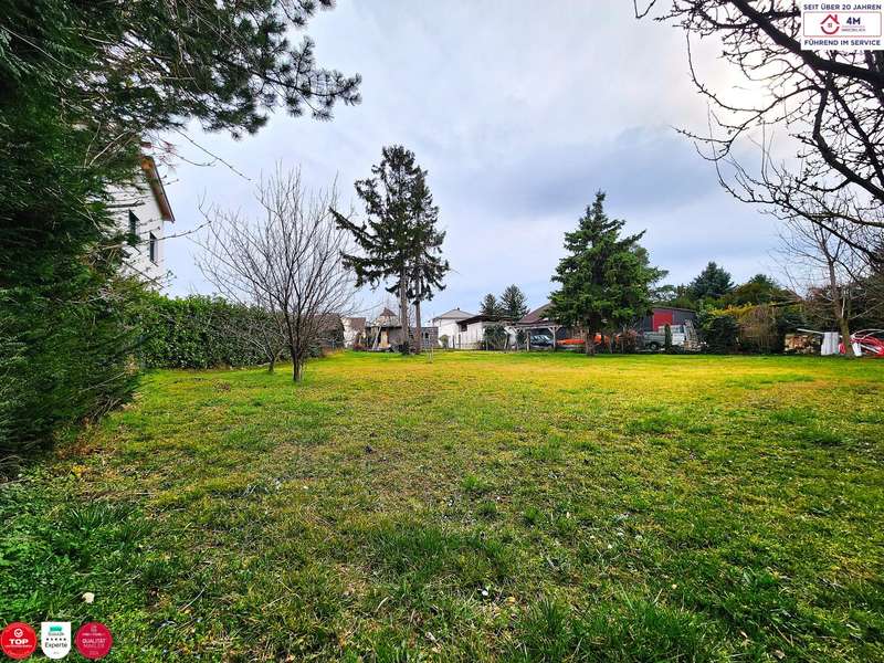 Baugrundstück in Obersiebenbrunn