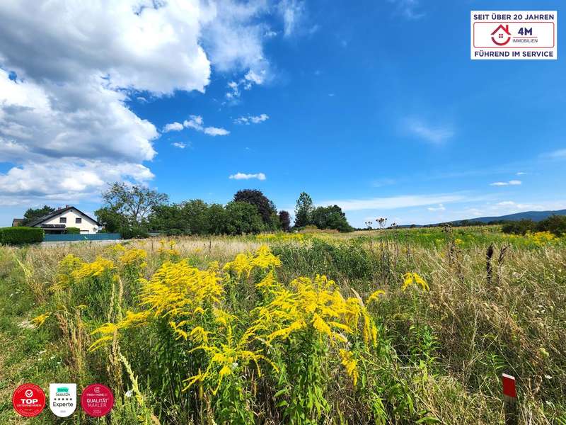 Baugrundstück in Wiener Neustadt