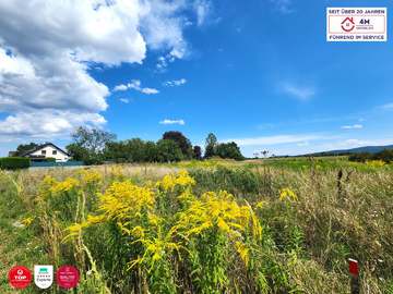 Grundstück in Wiener Neustadt Bild 03