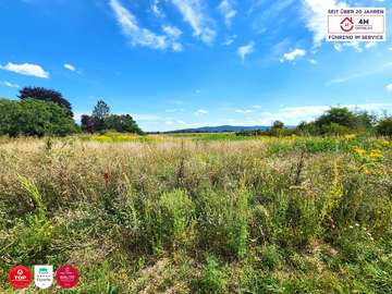 Grundstück in Wiener Neustadt Bild 04