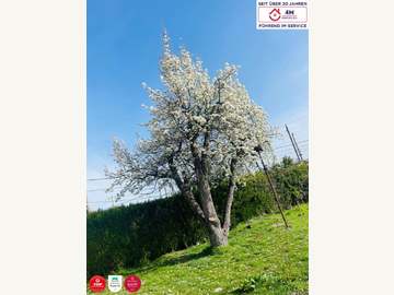 Baugrundstück in Wien Bild 02