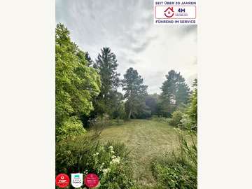 Bungalow in Bad Fischau Bild 10