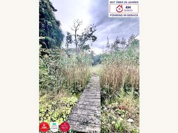 Bungalow in Bad Fischau Bild 13