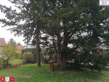 Einfamilienhaus in Stockerau Bild 03