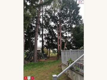 Einfamilienhaus in Stockerau Bild 05