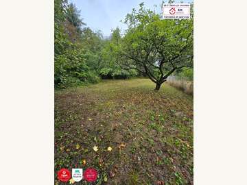 Einfamilienhaus in Kierling Bild 04