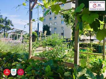 Wohnung in Wien Bild 09