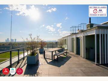 Terrassenwohnung in Wien Bild 10