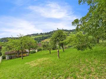 Baugrundstück in Linz Bild 05