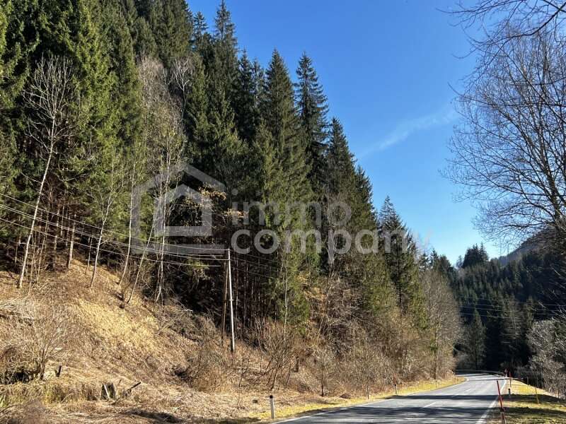 Forstwirtschaft in Hüttenberg