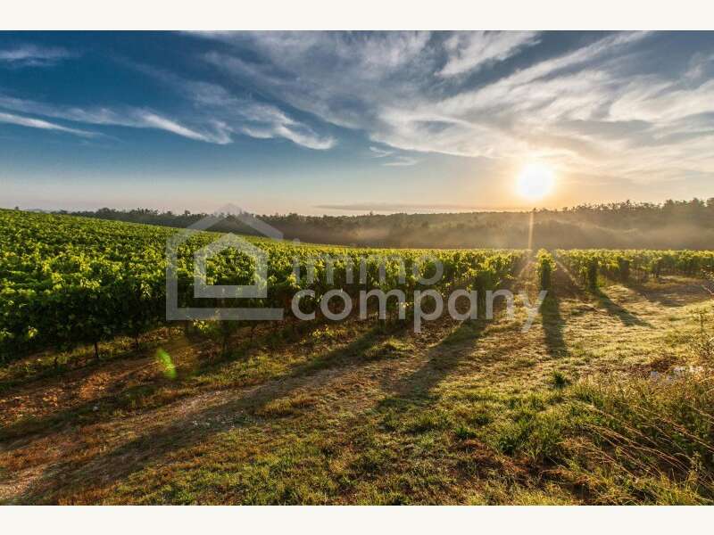 Landwirtschaft in 1100 Wien 