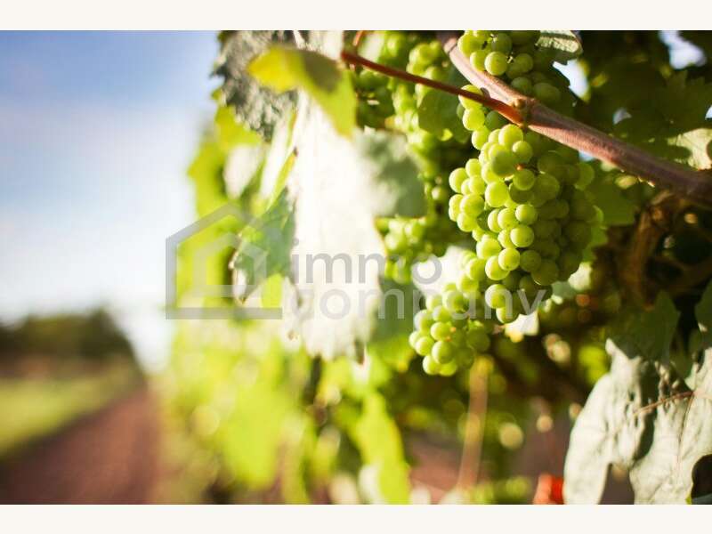 Landwirtschaft in 1100 Wien 