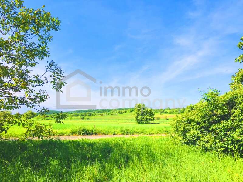 Baugrundstück in Breitenbrunn am Neusiedler See