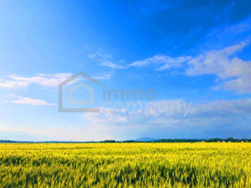 Landwirtschaftsgrund in Zurndorf