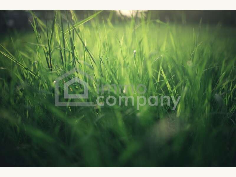 Baugrundstück in Ringelsdorf