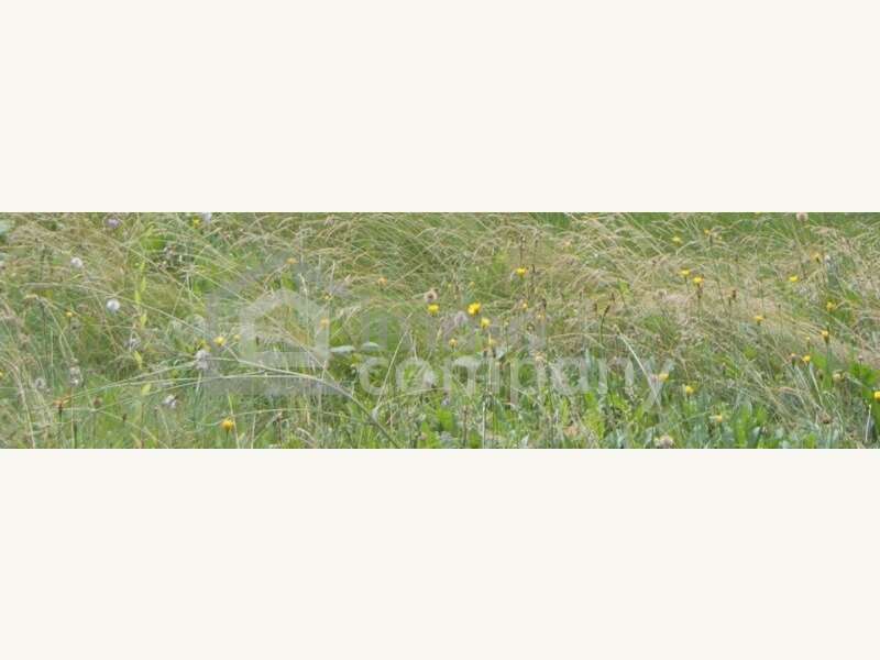 Grundstück in 1220 Wien 