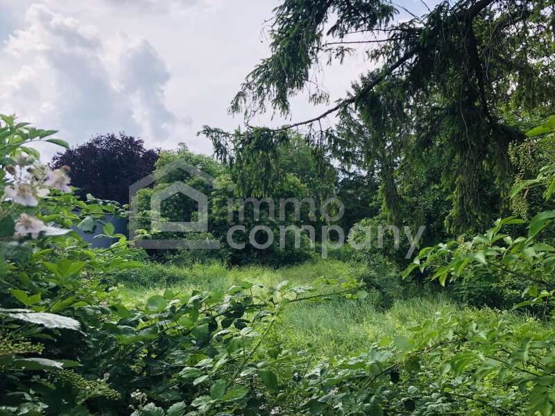 Baugrundstück in Mitterndorf an der Fischa