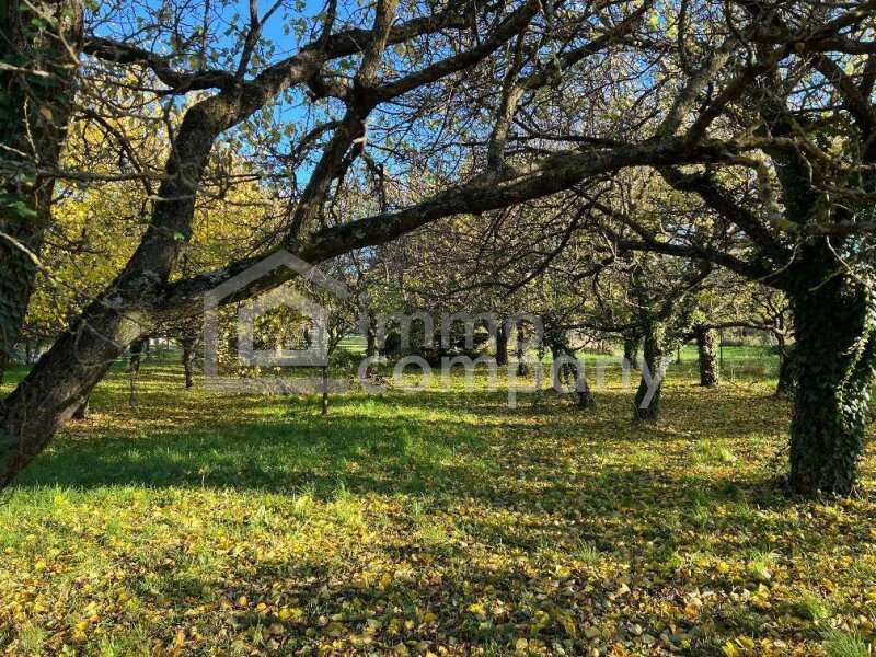 Grundstück in Hornstein