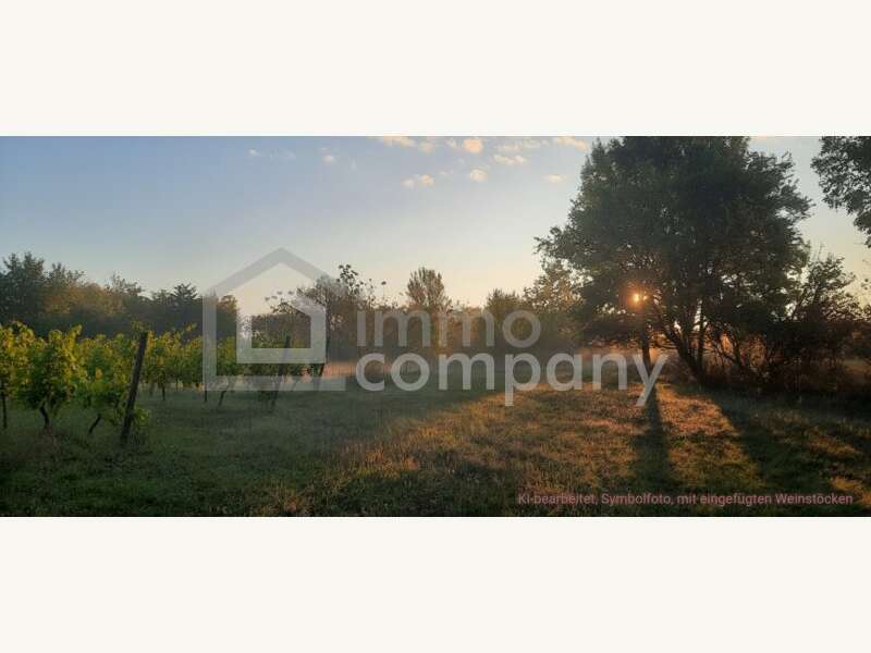 Landwirtschaftsgrund in Illmitz