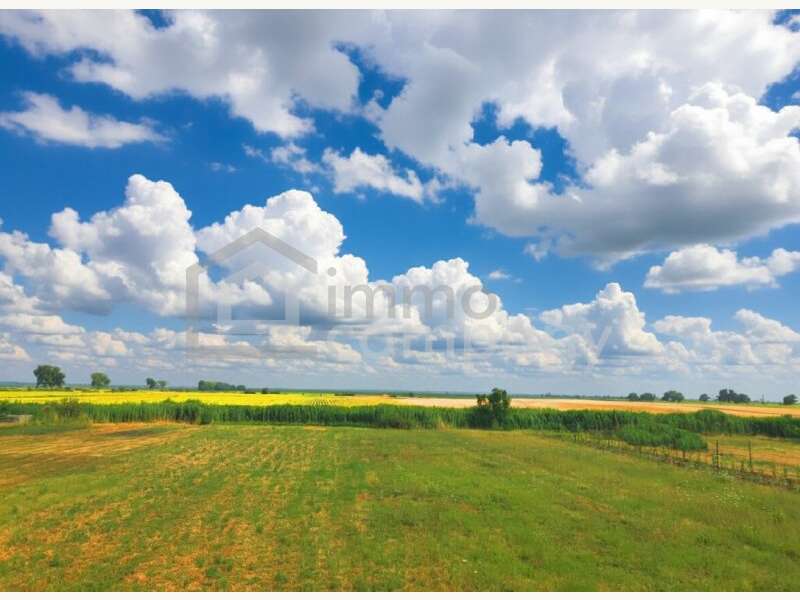 Landwirtschaftsgrund in Pama