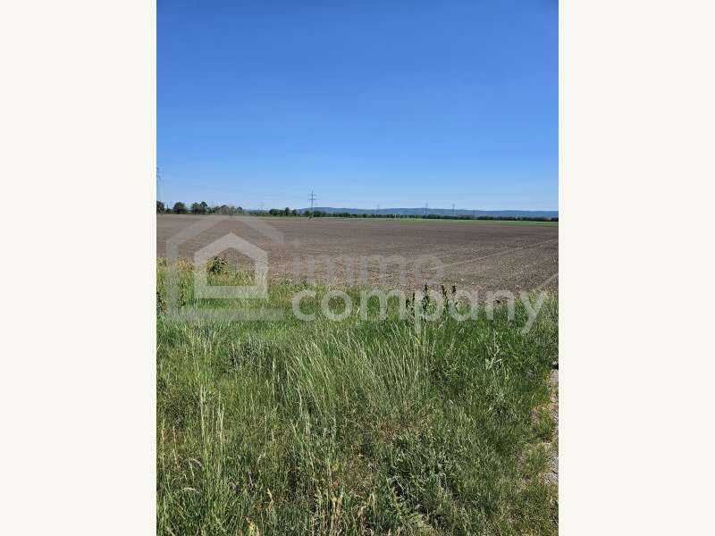 Landwirtschaftsgrund in Margarethen am Moos