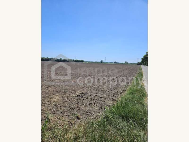 Landwirtschaftsgrund in Margarethen am Moos