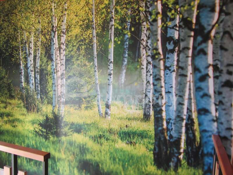 Einfamilienhaus in Sankt Nikola an der Donau