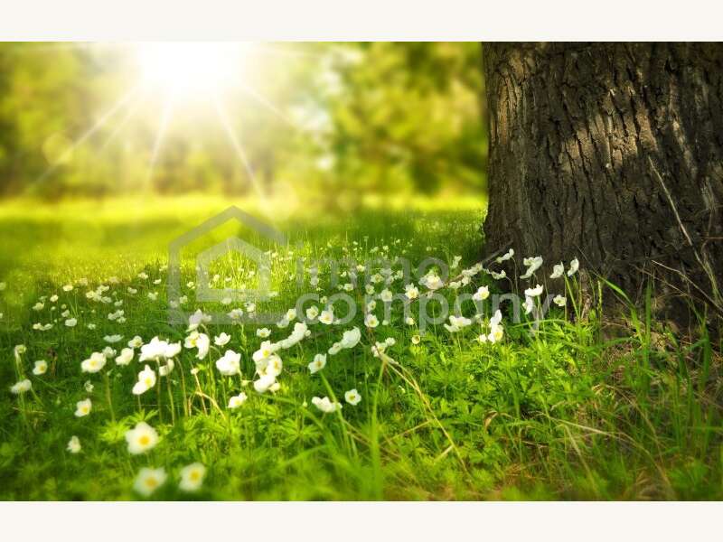 Bungalow in Niederabsdorf