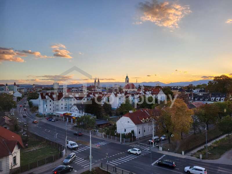 Wohnung in Wiener Neustadt